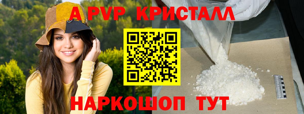 A PVP СК Вышний Волочёк