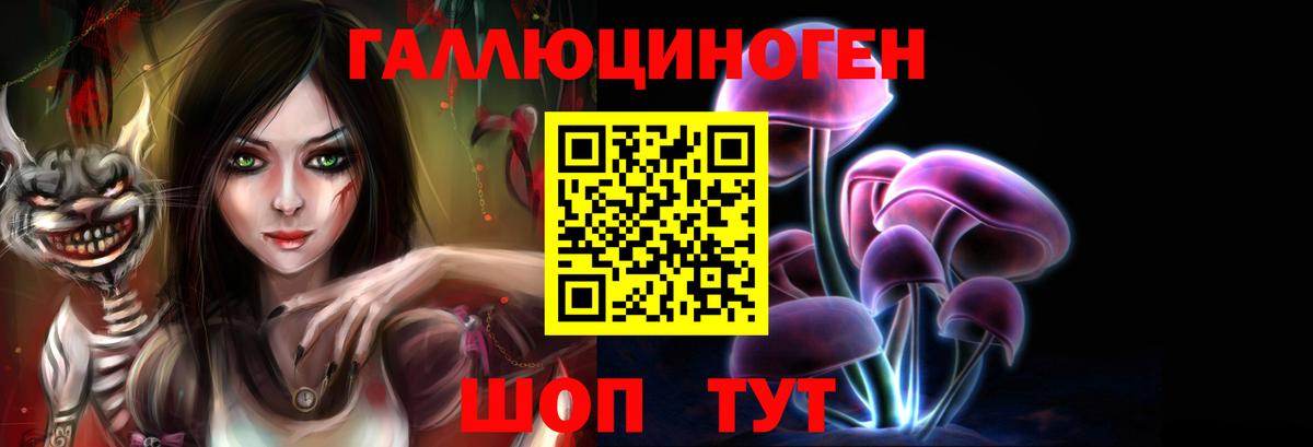 Вышний Волочёк  Псилоцибиновые грибы прущие грибы  Вход с VPN 